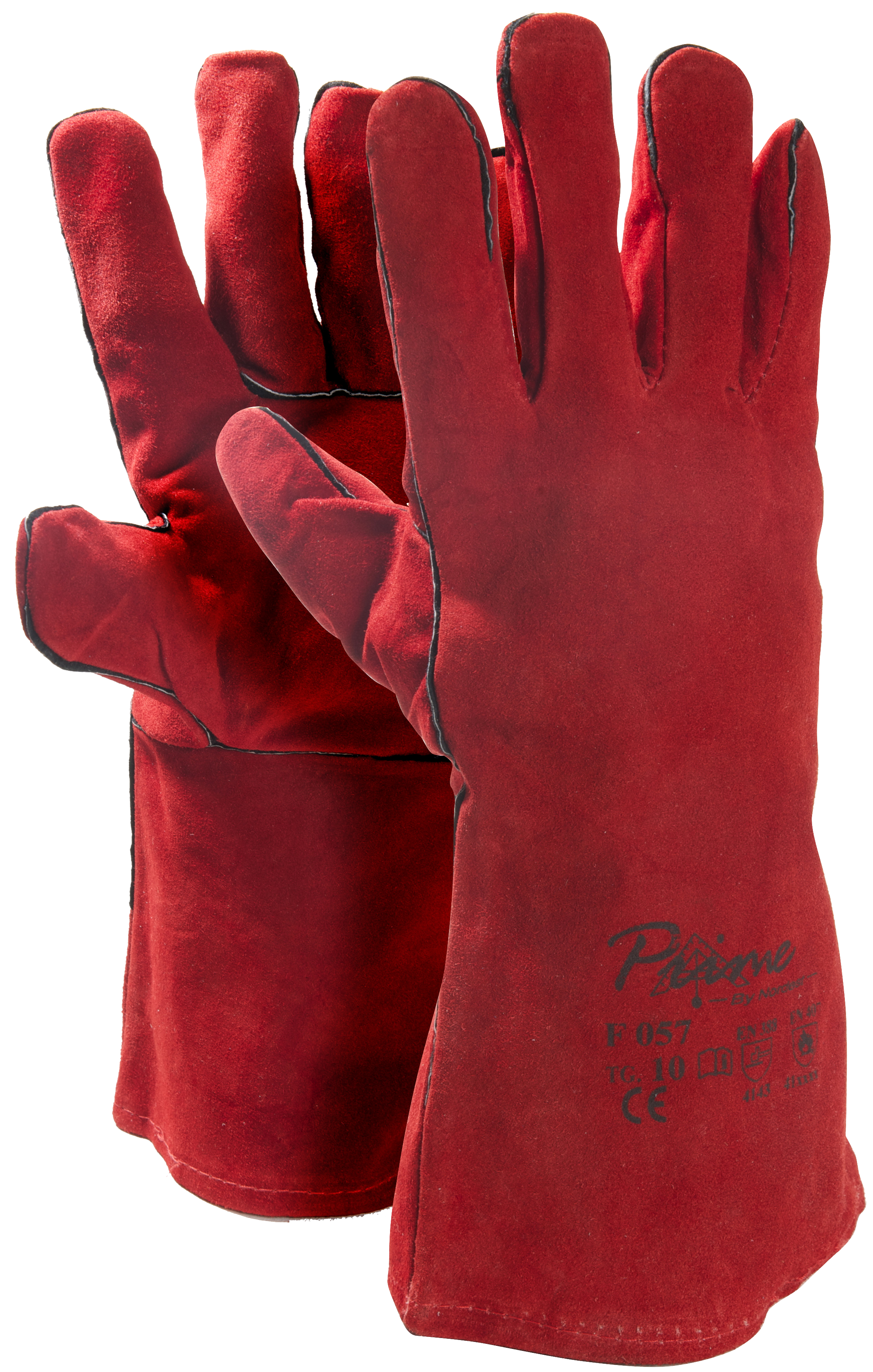 gantiaelektroskokkina