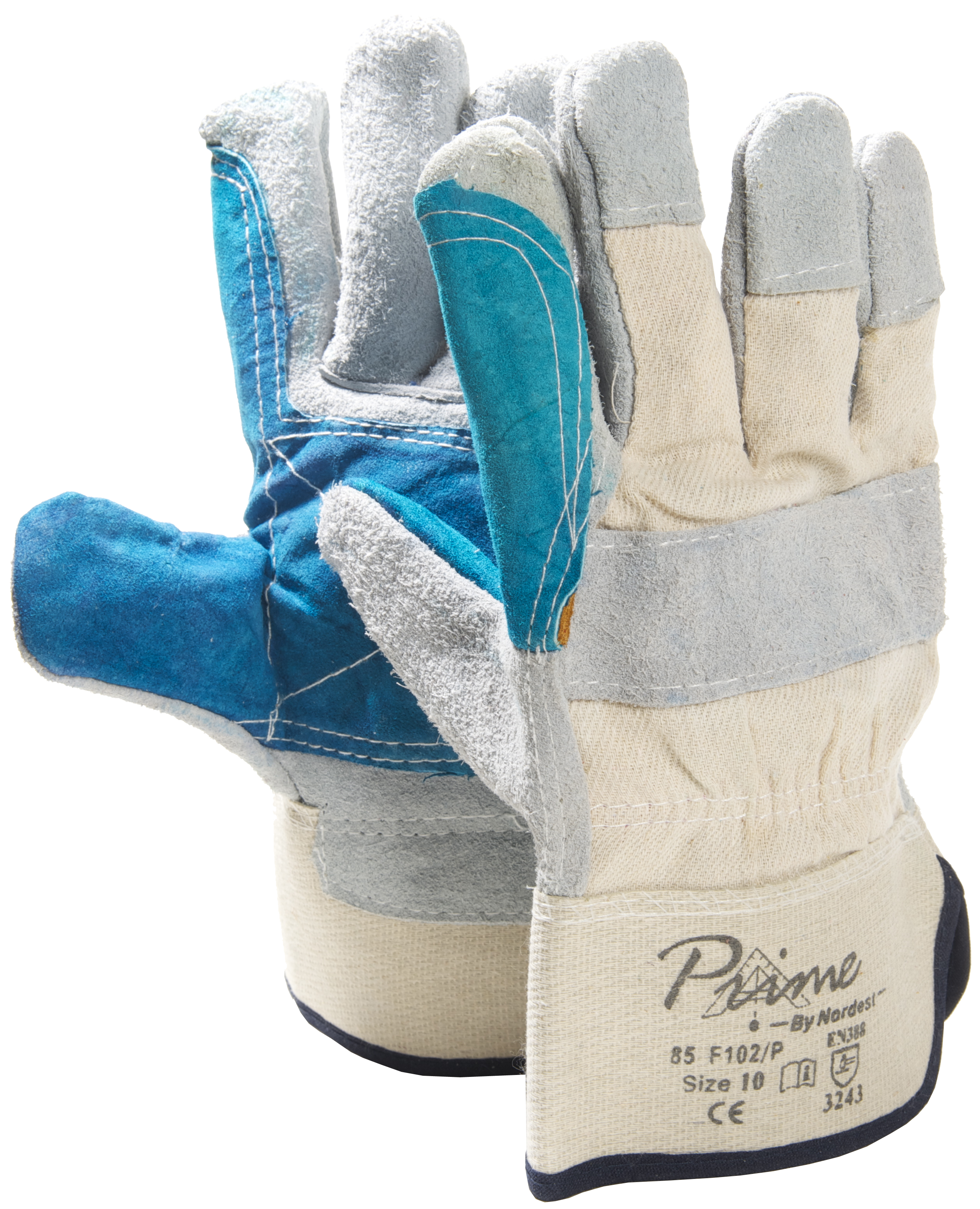 gantiaprasineenischysedermatopanina